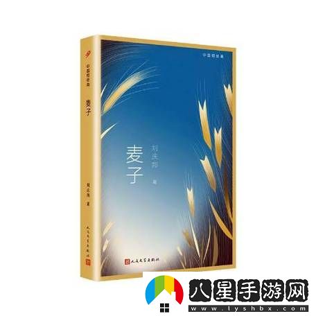 麥子3HD