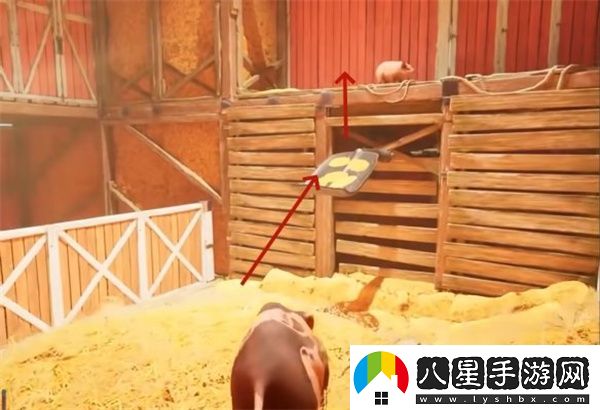 雙影奇境霓虹復(fù)仇農(nóng)場(chǎng)生活支線任務(wù)攻略