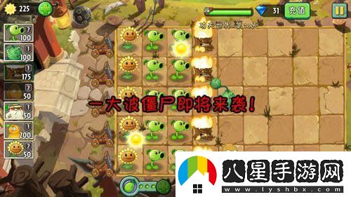 植物大戰(zhàn)僵尸2功夫世界第十天攻略