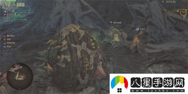 怪物獵人荒野適應(yīng)的方式任務(wù)攻略分享