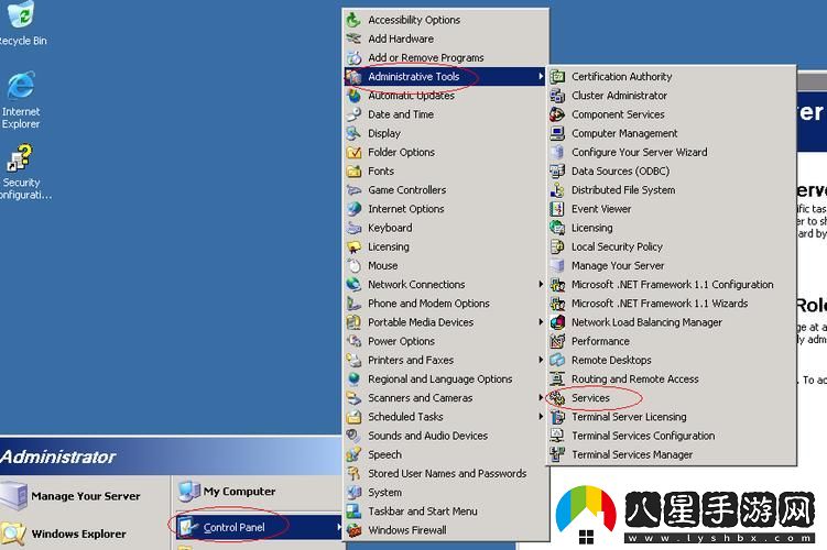 VPSWINDOWS另類亂