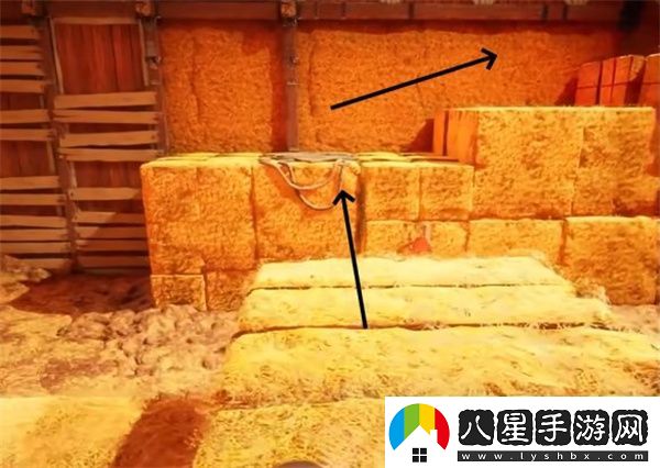 雙影奇境霓虹復(fù)仇農(nóng)場(chǎng)生活支線任務(wù)攻略