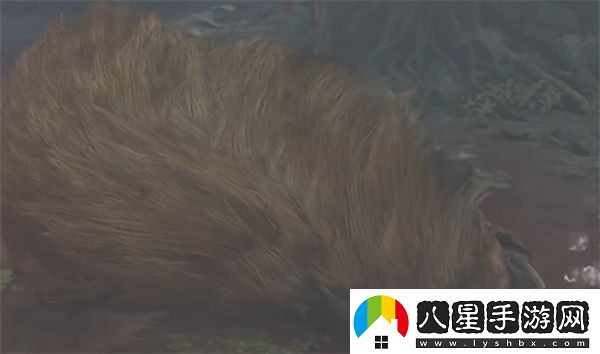 怪物獵人荒野林中辟獸任務(wù)攻略分享