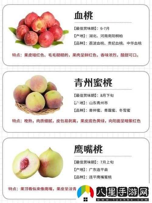 無人一區(qū)二區(qū)與紅桃7有何區(qū)別用戶熱議