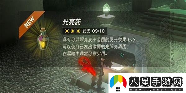 塞爾達(dá)傳說(shuō)王國(guó)之淚希摩希瓦卡神廟攻略