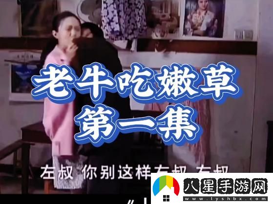 內(nèi)容豐富三亞老牛影院在線觀看