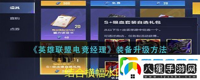 英雄聯(lián)盟電競經(jīng)理裝備升級攻略揭秘