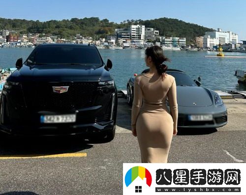 老阿姨高清免費觀看電視劇