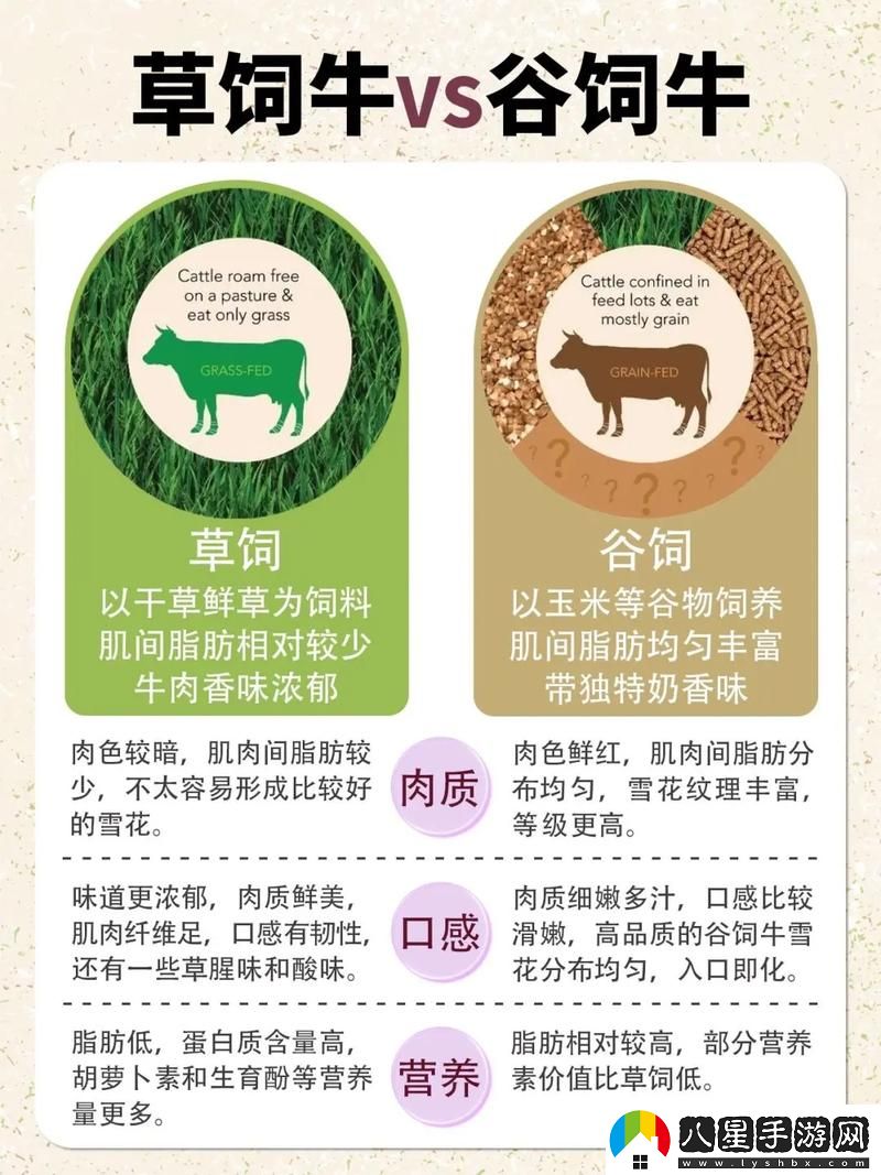 在當(dāng)代社會(huì)中