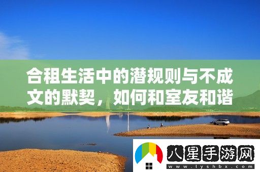 合租生活中的潛規(guī)則與不成文的默契