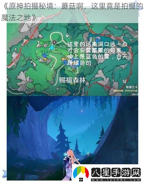 原神拍攝秘境
