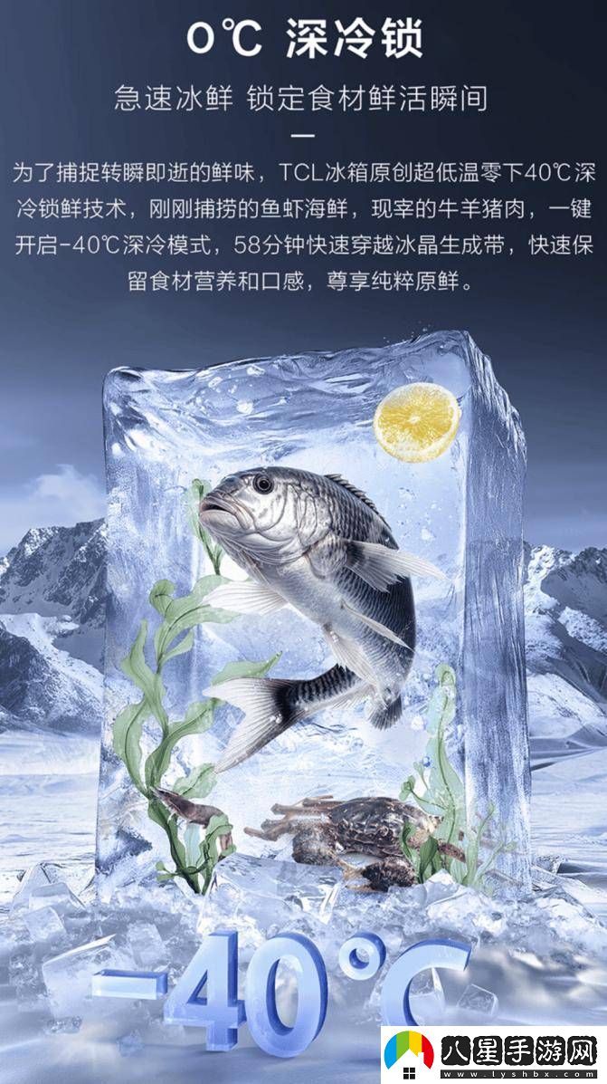 TCL冰麒麟深冷冰箱