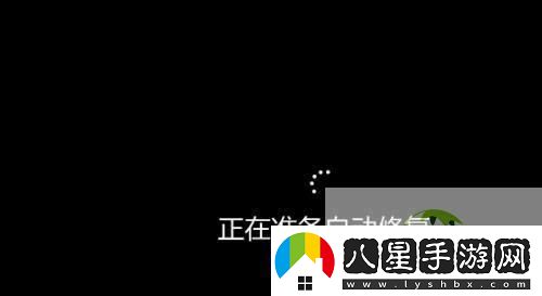 Win11