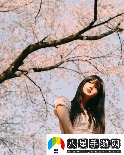 免費(fèi)高清在線觀看人數(shù)在哪