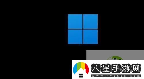 Win11