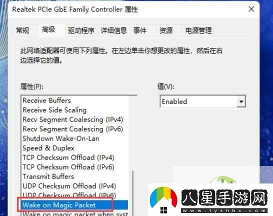 Windows11