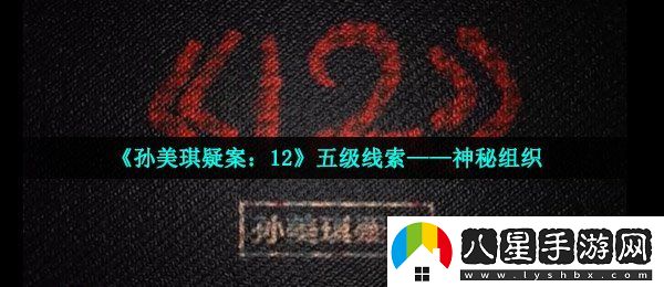 孫美琪疑案12五級線索神秘組織在哪
