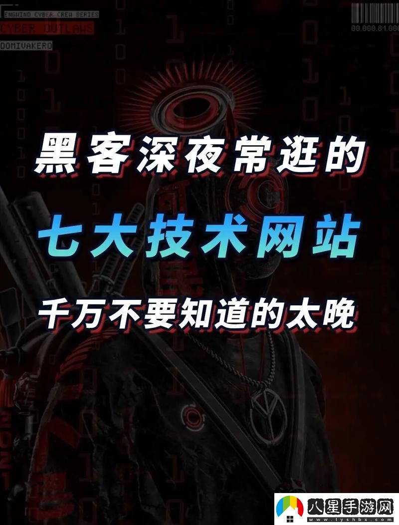 深夜網(wǎng)站的隱秘世界