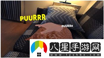密室逃脫求生系列1極地冒險雪峰旅館