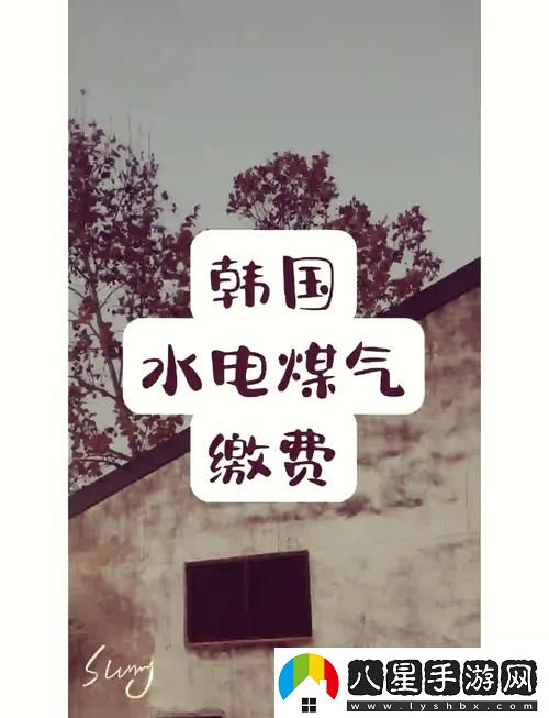 什么樣的設計理念讓“好看的韓國三色電費”備受歡迎
