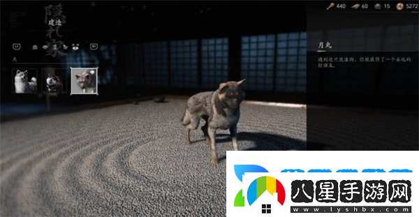 刺客信條影忠犬伸冤支線任務(wù)攻略推薦