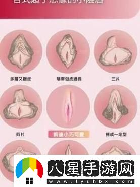 探索“女人私密又白又深又好看”的秘密