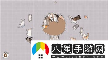 口袋學(xué)院物語2游戲區(qū)和什么組合最強(qiáng)