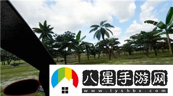 新神魔大陸應(yīng)該選什么職業(yè)
