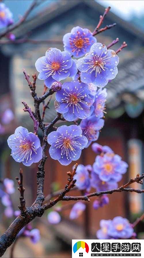 金花瓶楷梅花2