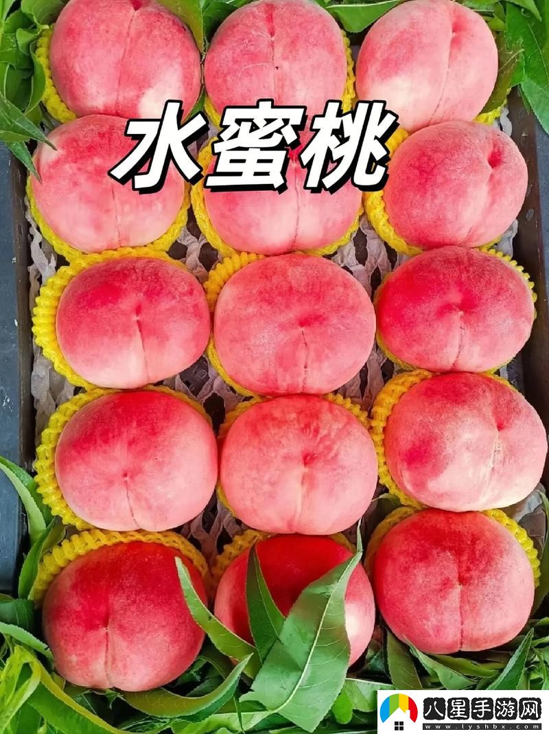 “爽?好大?快?水蜜桃視頻揭秘