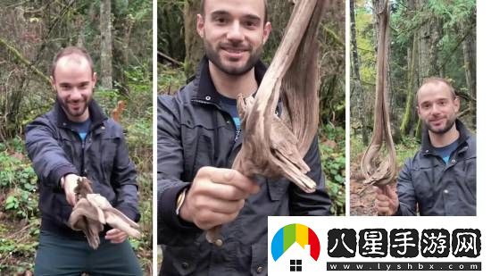 天選之木