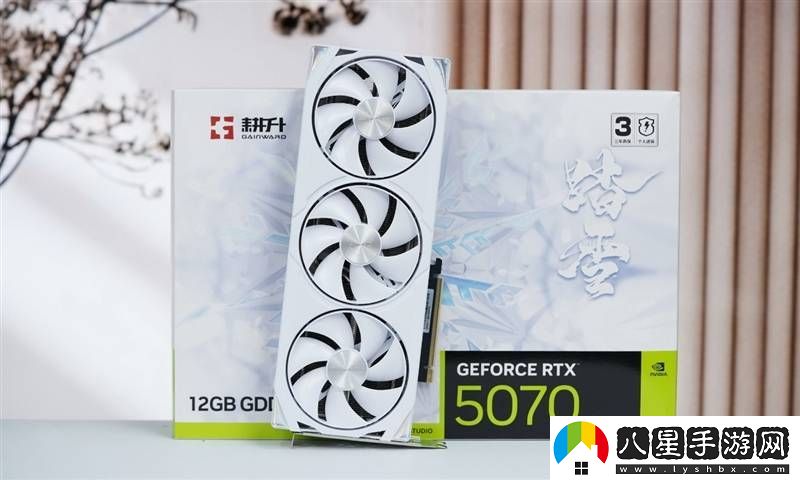 耕升RTX