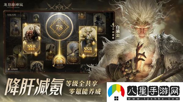 龍息神寂專屬神器怎么樣