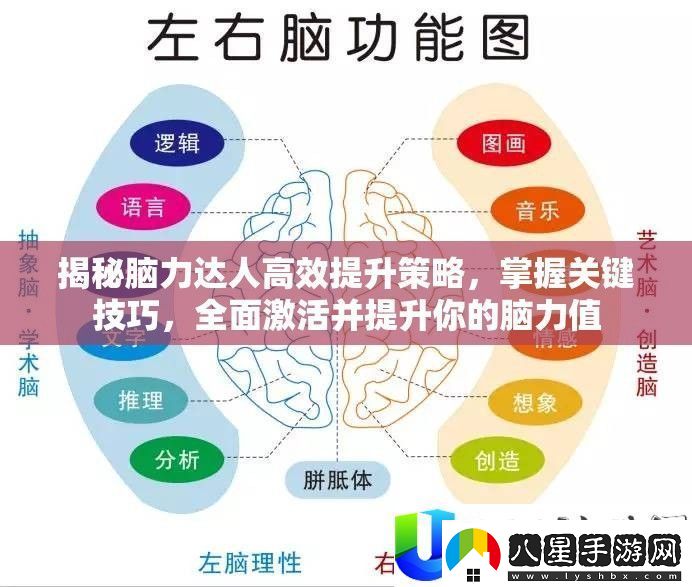 腦力達(dá)人提升策略