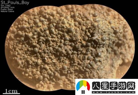 美國火星車發(fā)現(xiàn)詭異怪石