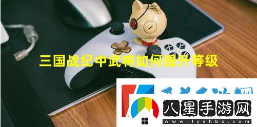 三國(guó)戰(zhàn)紀(jì)2群雄爭(zhēng)霸手游提升武將攻略一覽