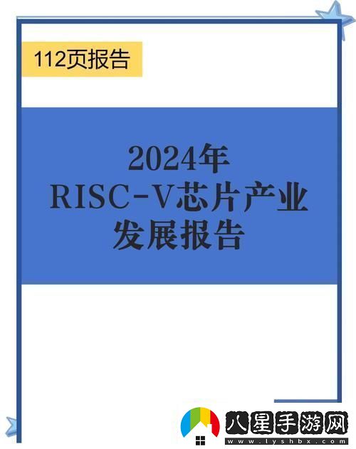 RISCV架構(gòu)芯片大揭秘手游玩家的新選擇