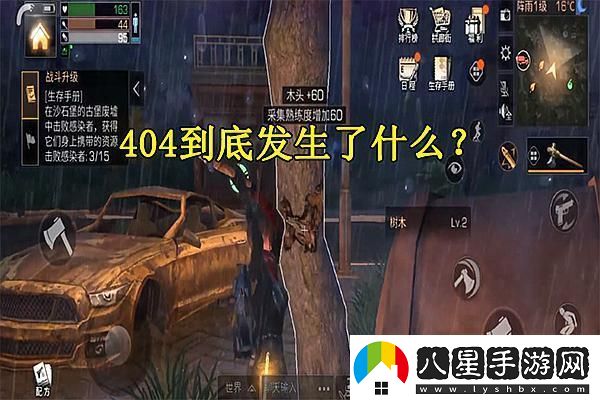 爐石傳說11星與10星的神秘面紗