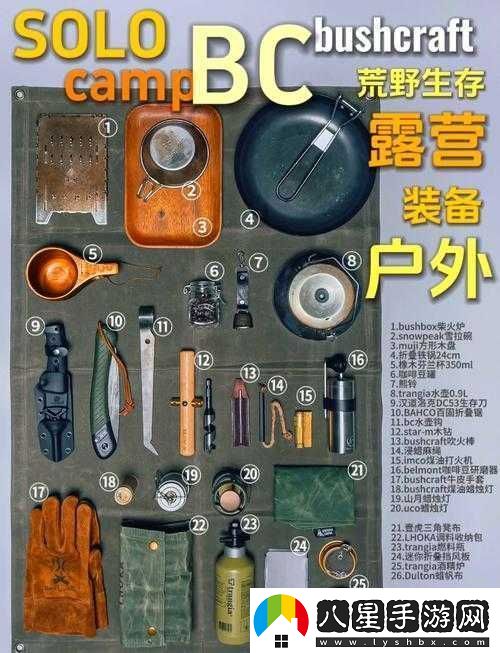 必看往日不再野外武器保存秘籍！90%玩家都不知道的生存訣竅
