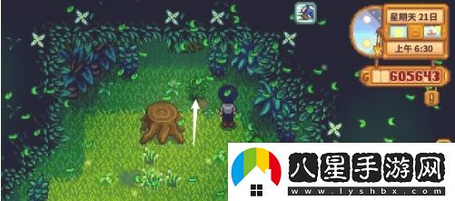 星露谷物語蕨菜怎么獲取