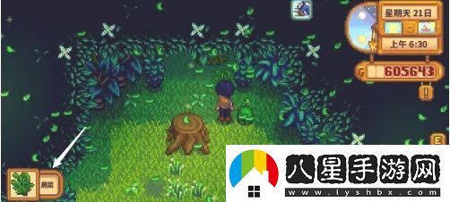星露谷物語蕨菜怎么獲取