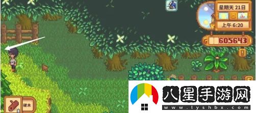星露谷物語蕨菜怎么獲取