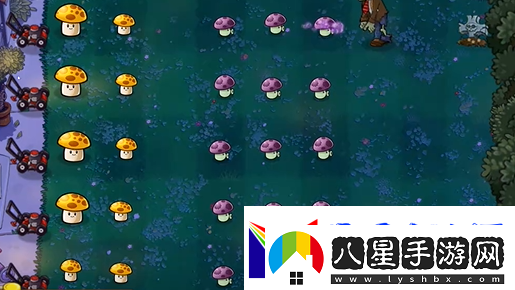 植物大戰(zhàn)僵尸精華版冒險模式2