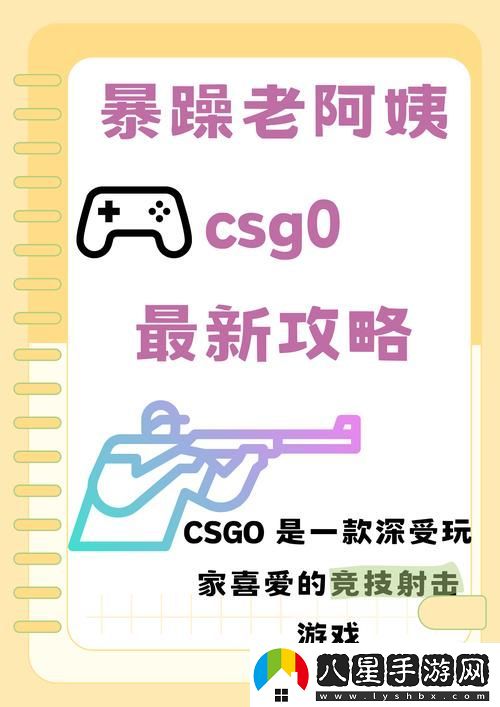 暴躁老阿姨CSGO技能推薦大全