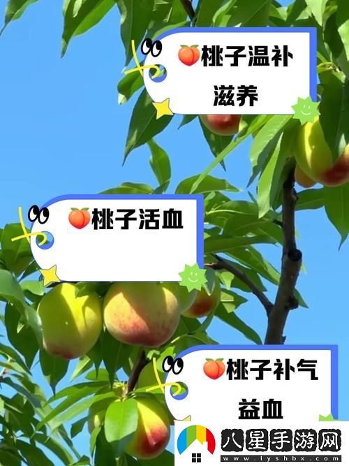 幾幾寒進桃子里