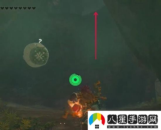 塞爾達傳說王國之淚汀空的衣服怎么獲取塞爾達傳說王國之淚汀空的衣服獲取攻略