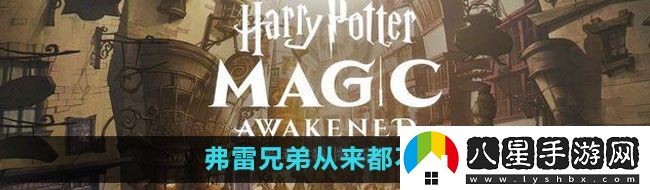 哈利波特魔法覺醒弗雷兄弟從來都不懂拼圖位置在哪