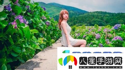 成都私人情侶免費(fèi)看電視劇的軟件