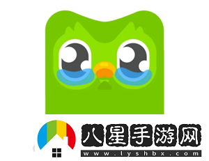 多鄰國super會員實(shí)用嗎