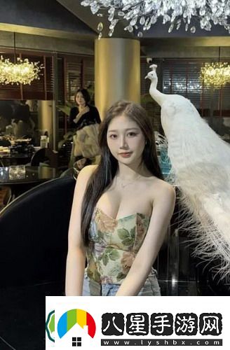 zoom動(dòng)物人配人馬